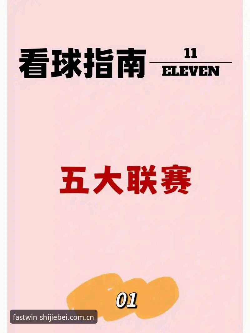 世界杯网投平台教程 世界杯网投平台教程详解——新手从注册到提现的完整指南